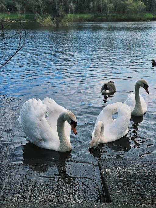时尚的3室独立别墅，近海滩，Mumbles Swansea Ngoại thất bức ảnh